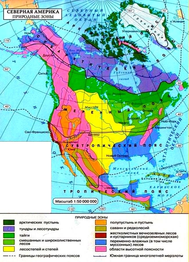 Северная Америка. Природные зоны