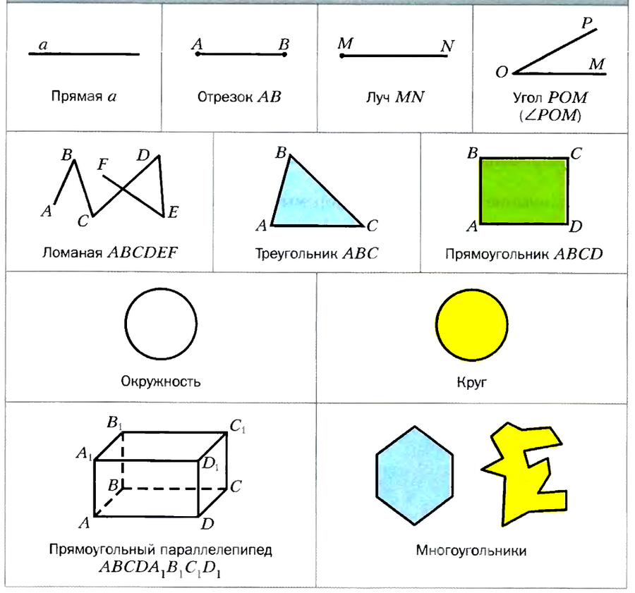 Начальные геометрические понятия